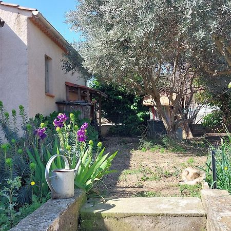 Villa 80 M2 Jardin Terrasse 3 Chambres Provence Volx Eksteriør billede